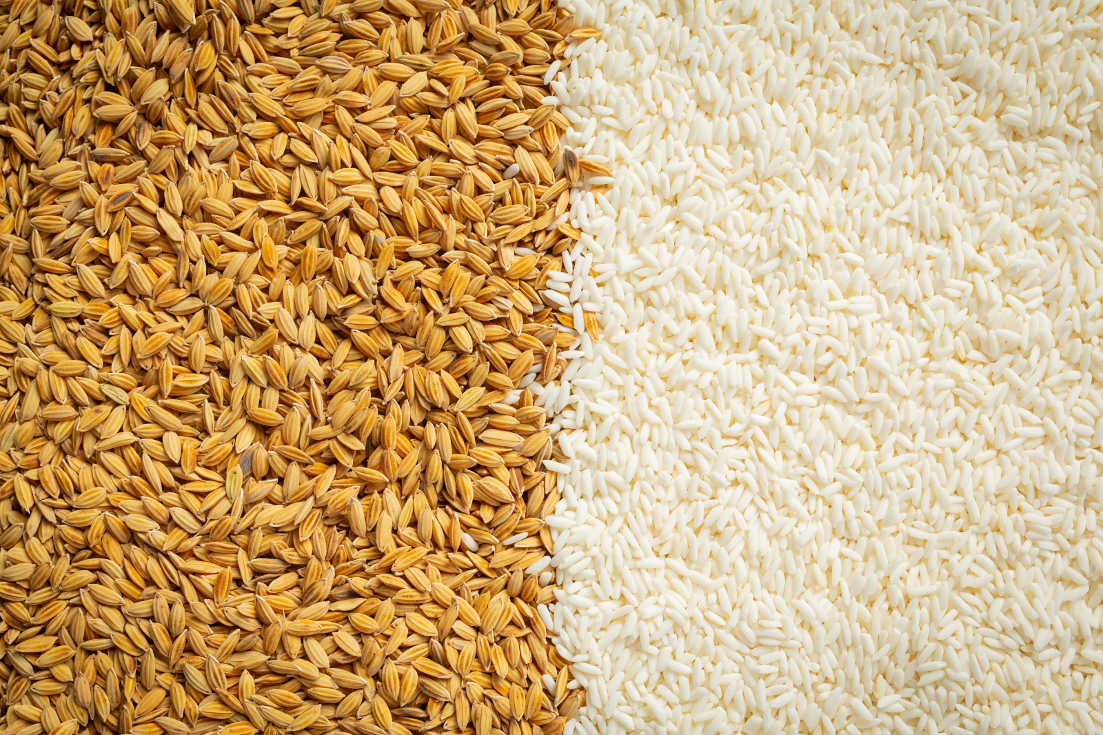 Agricultural Goods
